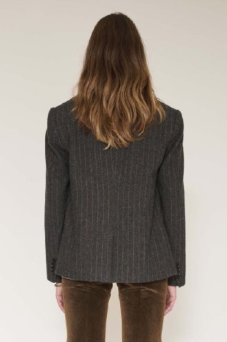 Blazer Vidya